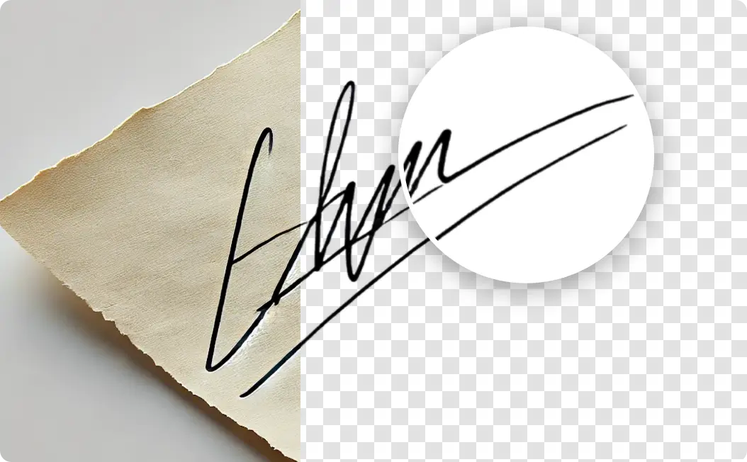 Plain White Background