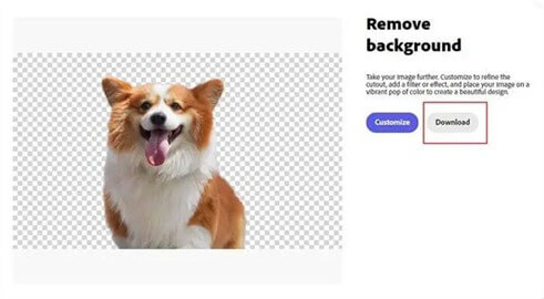 rimuovi lo sfondo con Adobe Background Remover