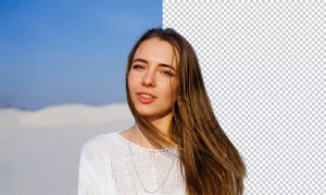 Best AI Background Remover Tools
