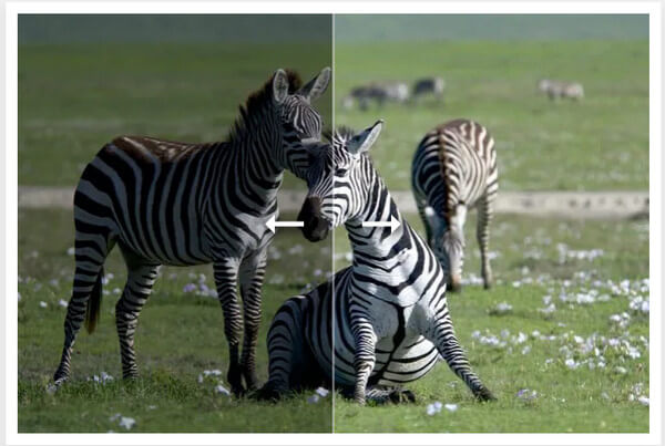 Photokit AI Cambia il colore dell'immagine