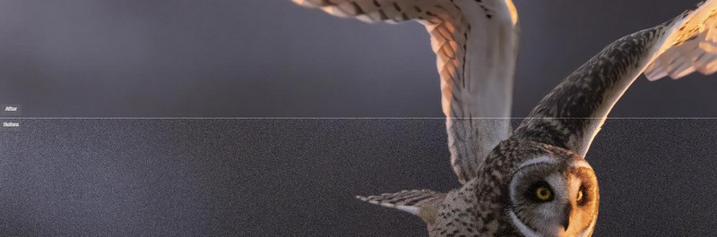 Topazio Foto AI