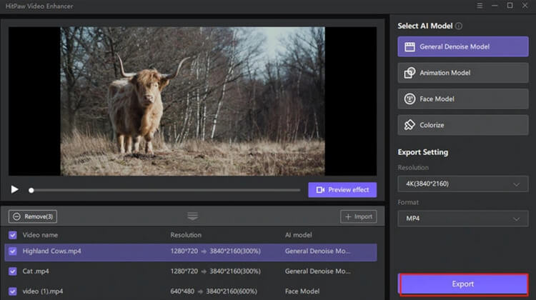 Hitpaw Video Enhancer