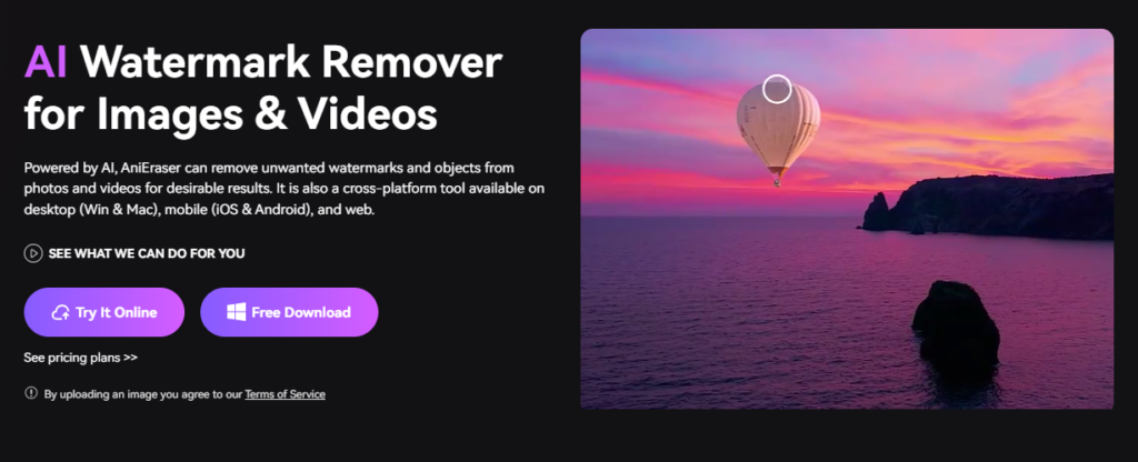 Anieraser Watermark Remover