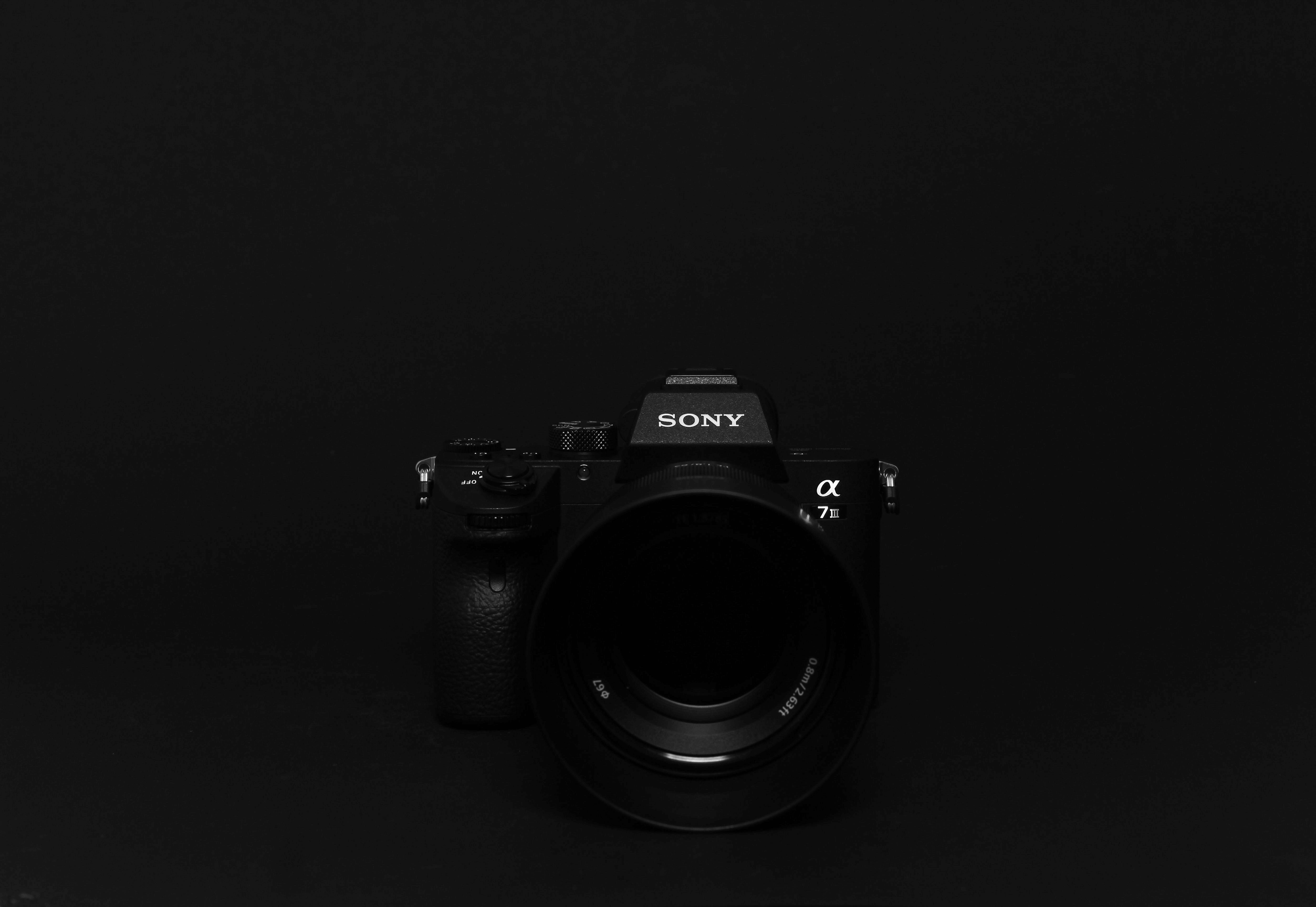 Fond noir en photographie