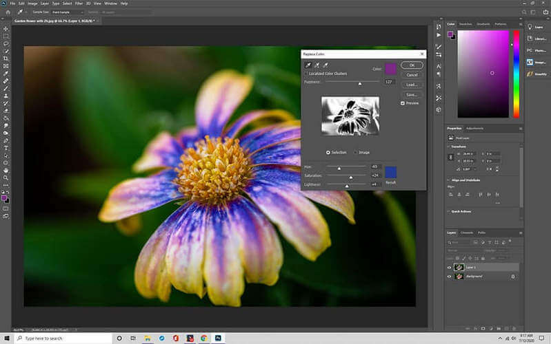 Sostituisci il colore in Photoshop