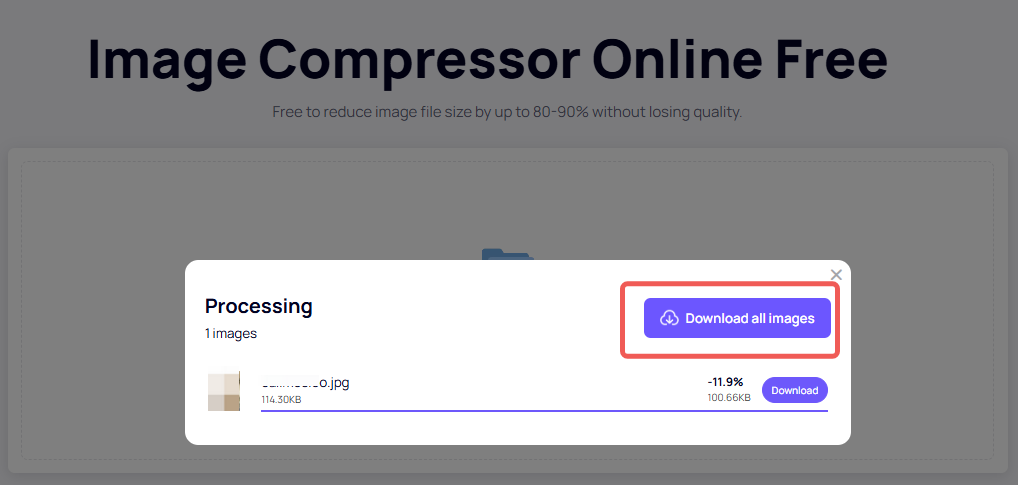 Download Compressed Image