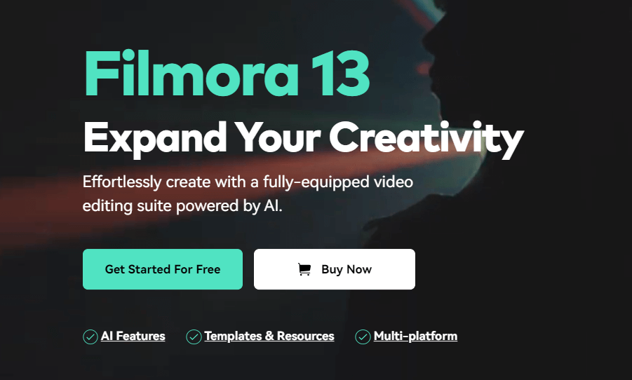 Filmora Watermark Remover