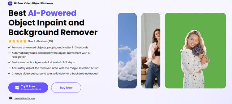 HitPaw Video Object Remover