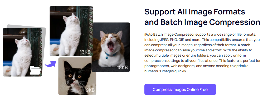 Compresseur d'images en masse iFoto