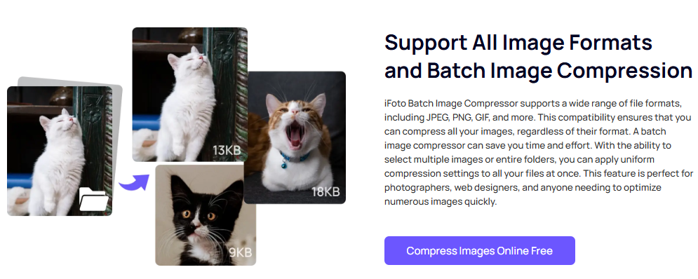 iFoto Resize File of Image Bulk