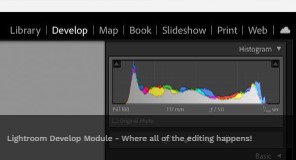 Verbessern Sie die Bildklarheit mit Lightroom