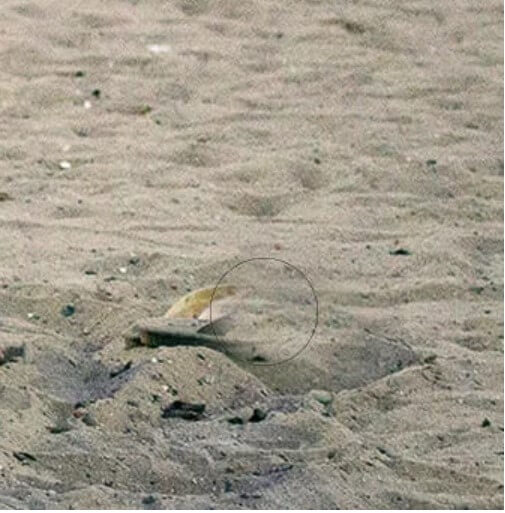 फ़ोटोशॉप अवांछित वस्तु को हटाएँ